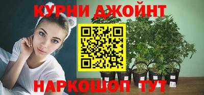 стаф Лесосибирск