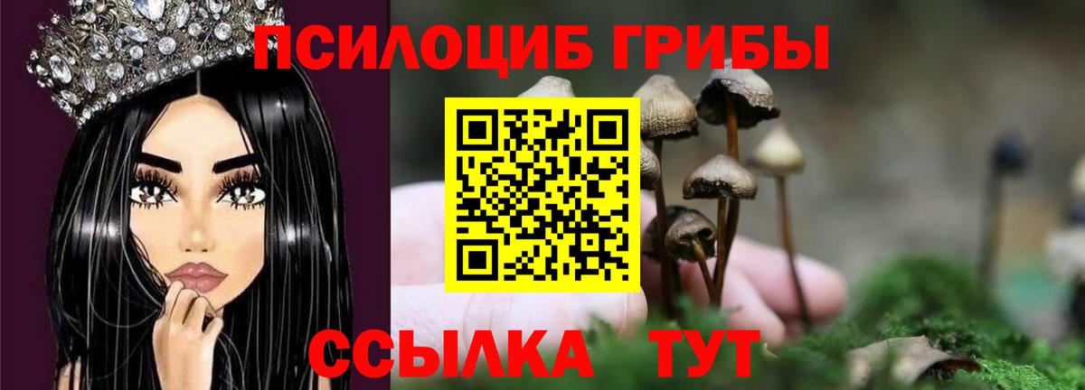 Галлюциногенные грибы Cubensis Зима