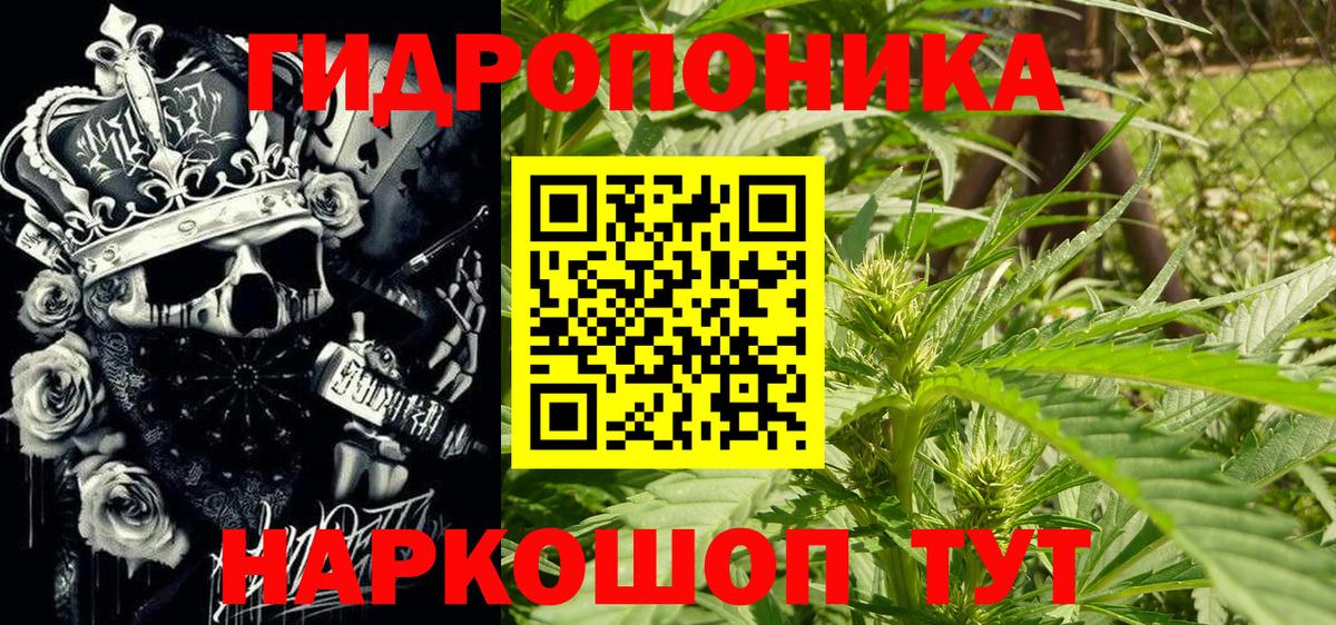 Марихуана SATIVA & INDICA  Вход с VPN  МАРИХУАНА ГИДРОПОН  Зима  Конопля сатива 